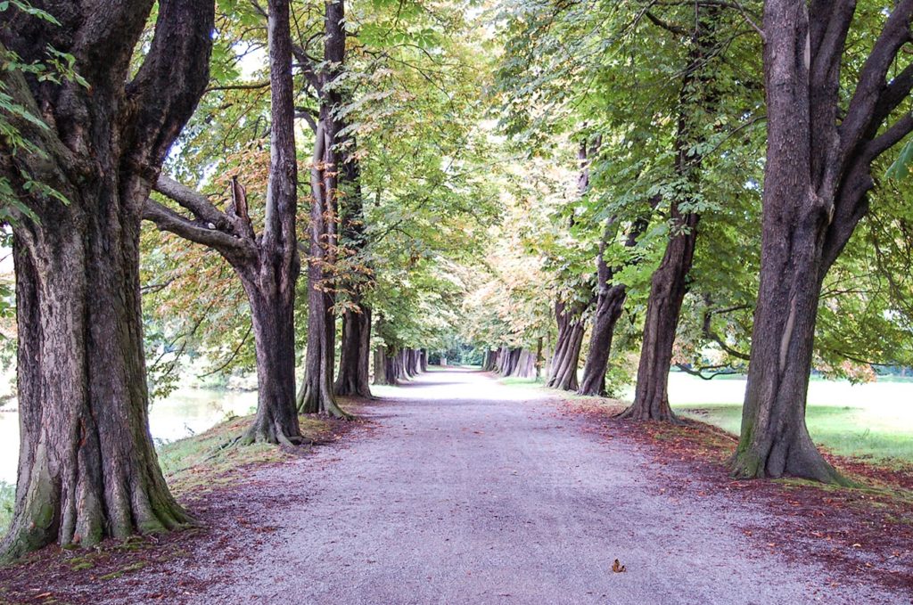 Pottleben - Allee im Schlosspark Herten