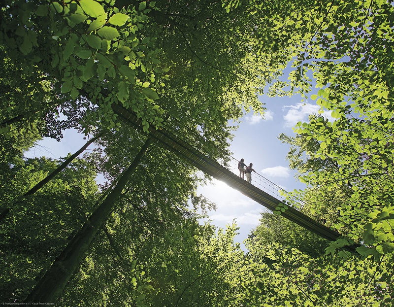 Hängebrücke am Rothaarsteig bei Kühhude. Foto: Rothaarsteig e.V., Björn Hänssler