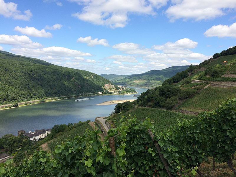 Tolle Aussicht vom Rheinsteig bei Assmannshausen